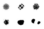 Coherent phase texture