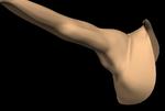 Pose Space Deformation