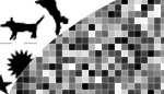 universalimage